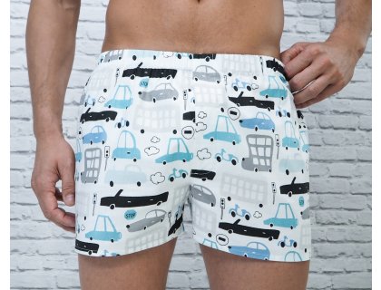 PÁNSKÉ TRENÝRKY AUTA