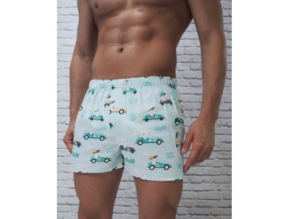 PÁNSKÉ TRENÝRKY ZAJÍC V AUTĚ