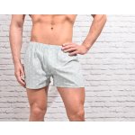 PÁNSKÉ TRENÝRKY ZELENÉ HVĚZDY