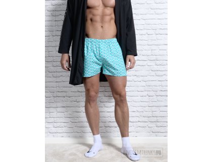 PÁNSKÉ TRENÝRKY PLACHETNICE MALÁ