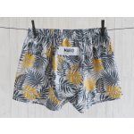 PÁNSKÉ TRENÝRKY TROPICKÉ LISTY